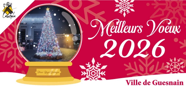 Meilleurs Voeux 2026