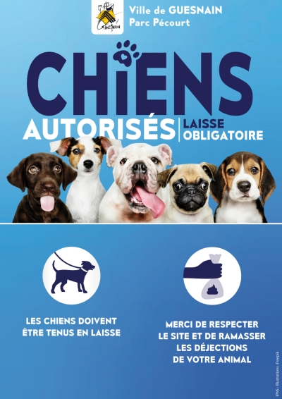 Chiens en laisse au Parc Pécourt