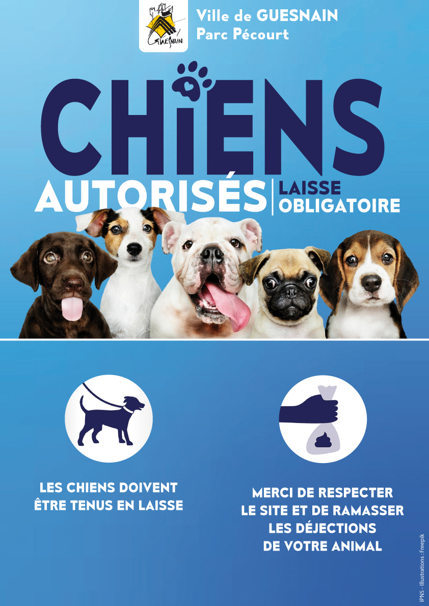 Chiens en laisse au Parc Pécourt