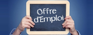 Offre d'emploi