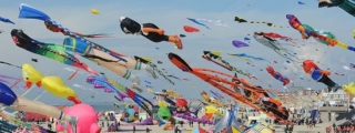 Cerfs-volants de Berck-sur-Mer