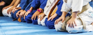 Icone Judo