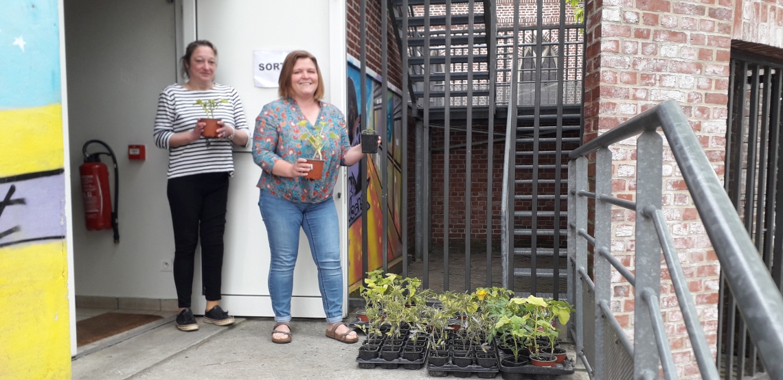 Dons de plants à l'association AFAD