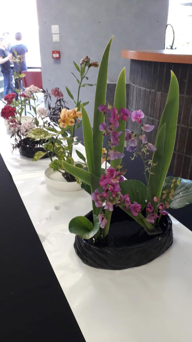 Forum ILG - ikebana