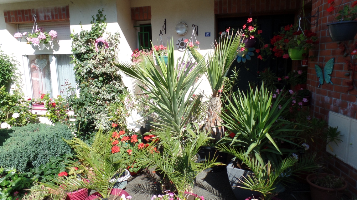 Maison d'un participant au concours des maisons fleuries