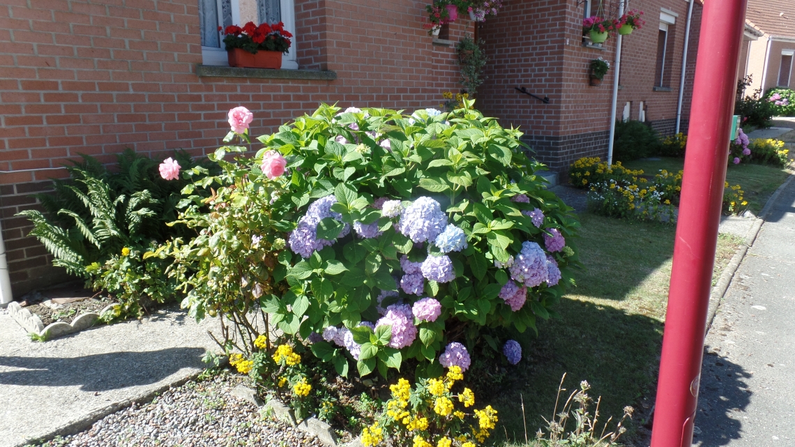 Maison d'un participant au concours des maisons fleuries